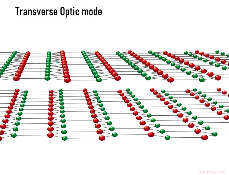 Exploring Ultrafast, Coupled Atomic Vibrations in Quantum Boron Nitride