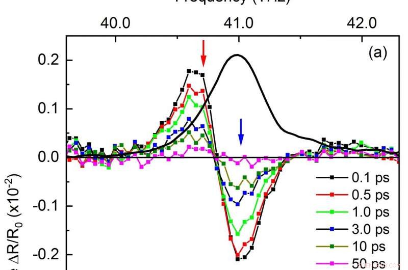 Exploring Ultrafast, Coupled Atomic Vibrations in Quantum Boron Nitride