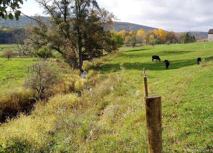 Pennsylvania Farmers Lead the Charge in Protecting Chesapeake Bay Water Quality, According to Recent Survey