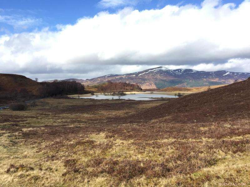 Tracking the U.K. s Carbon Pathway: From Soil to Sea