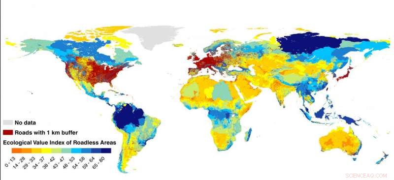 Study Reveals Roads Divide Earth s Surface into 600,000 Fragmented Zones