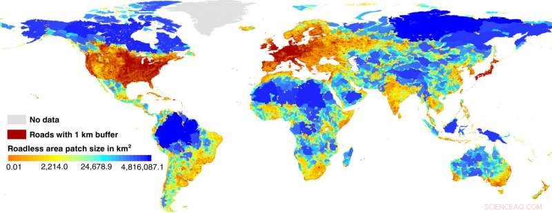 Study Reveals Roads Divide Earth s Surface into 600,000 Fragmented Zones