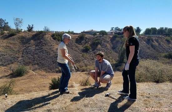 Aliso Canyon Oil Leak: Key Lessons for Safer Energy Practices