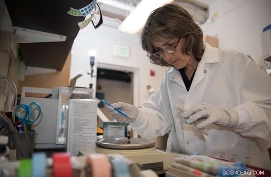 Aliso Canyon Oil Leak: Key Lessons for Safer Energy Practices