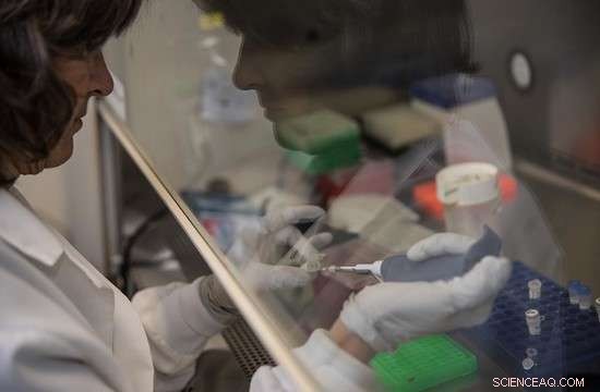 Aliso Canyon Oil Leak: Key Lessons for Safer Energy Practices