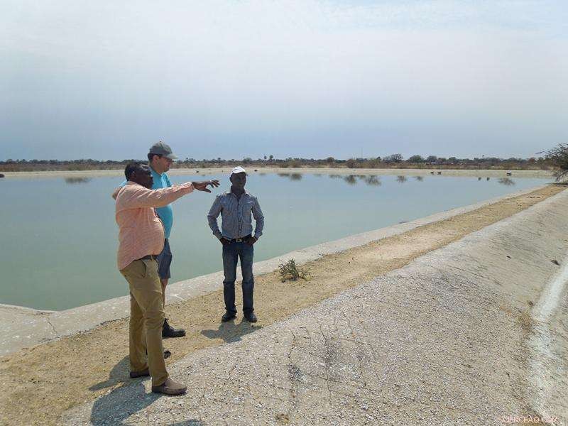 Upgrading Namibia’s Stabilisation Ponds Boosts Agricultural Yields