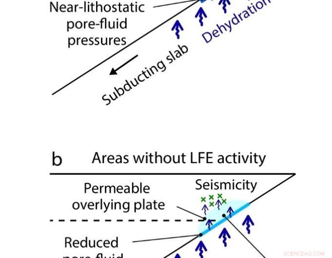 Above and Beyond Megathrusts: How Draining Pore Fluids Reduces Earthquake Tremors