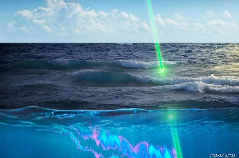 Space‑Based LIDAR Illuminates Ocean Plankton Dynamics