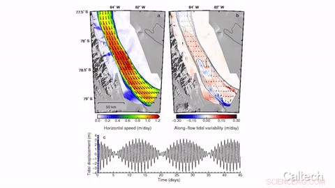 Satellites Capture Tide-Triggered Traffic Jams in Antarctic Ice Streams