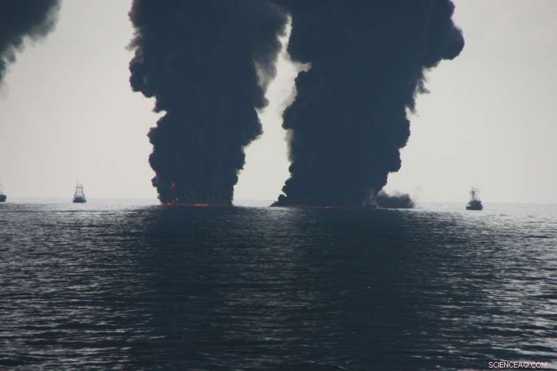 Experts Evaluate the Persistence of 125 Oil‑Spill Compounds in the Gulf of Mexico