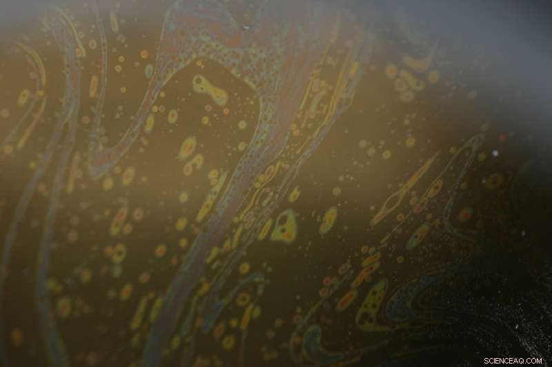 Experts Evaluate the Persistence of 125 Oil‑Spill Compounds in the Gulf of Mexico