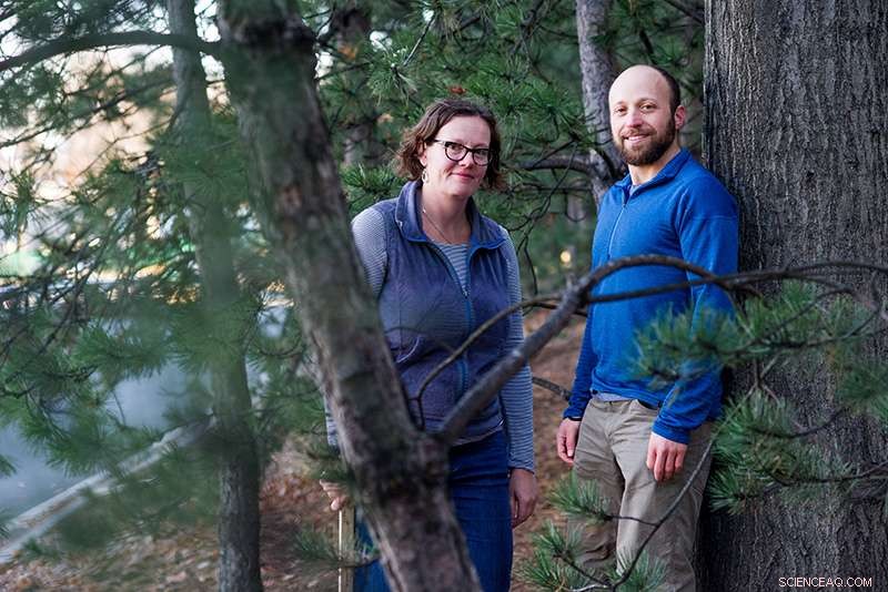 Forest Fragmentation: Balancing Good and Bad News