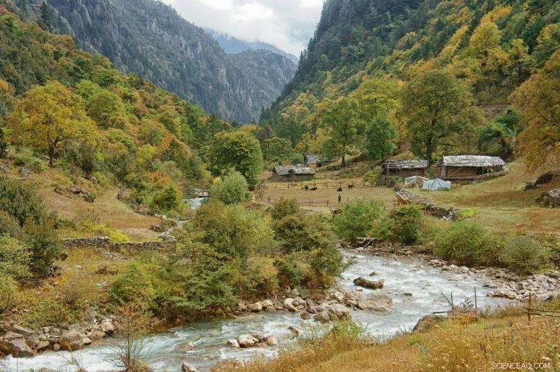 How Climate Change Shapes Microbial Biodiversity: The Role of Environmental Quality