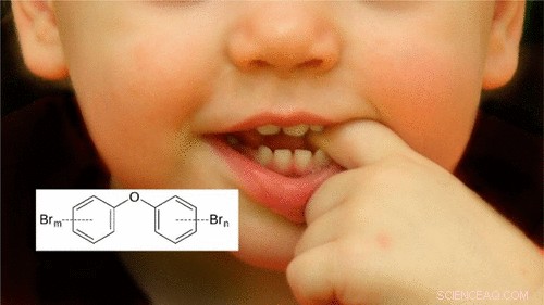 Flame Retardant Exposure Correlates with Income, BMI, and Household Smoking