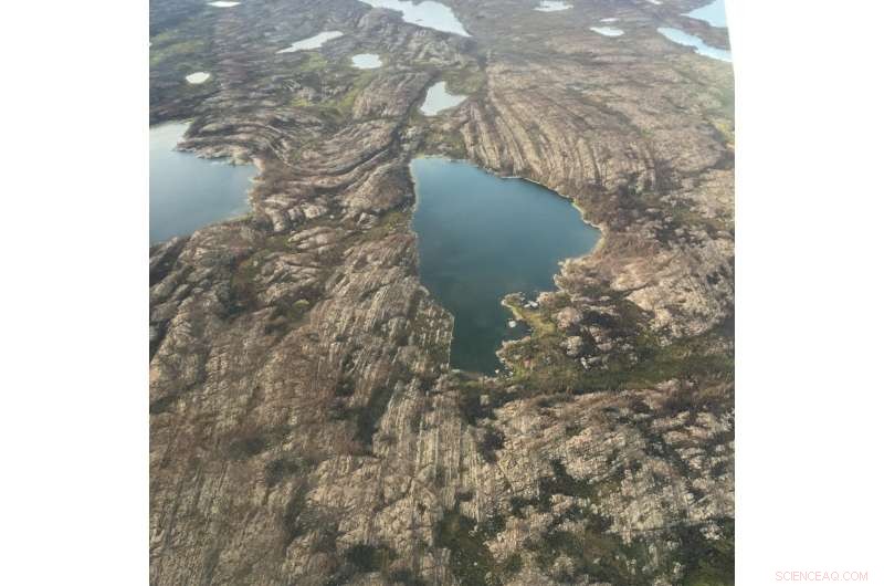 3.5 Billion Years of Earth History: Fertilizer Scarcity and Its Impact on Animal Evolution