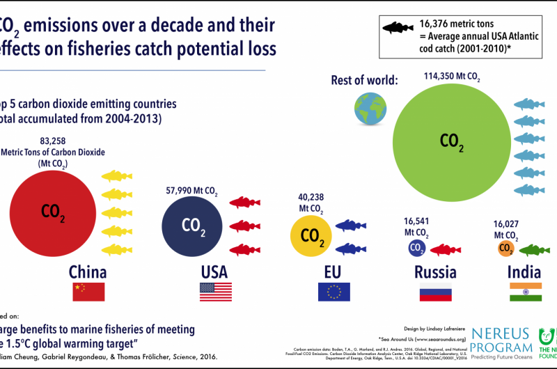 Paris Agreement Could Boost Global Fish Catches by 6 Million Tons Annually