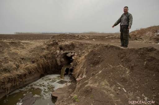 China s Massive Dairy Farms Spark Environmental and Community Concerns
