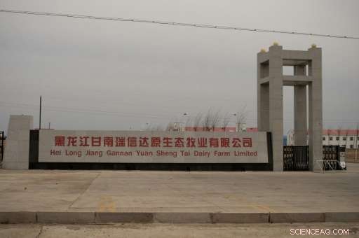 China s Massive Dairy Farms Spark Environmental and Community Concerns