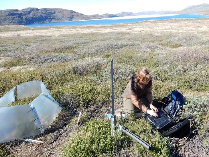 New Study Shows Climate Change Impacts Above-Ground Plant Growth More Than Below