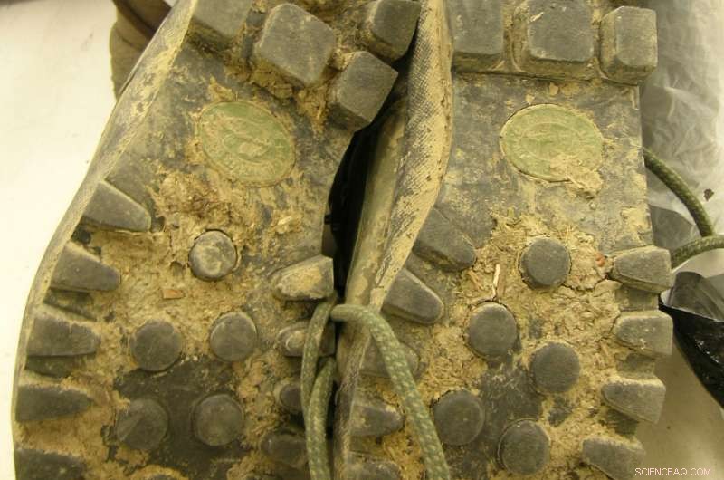 How Long Can Soil Invertebrates Survive? The Impact of Storage Duration and Environmental Exposure