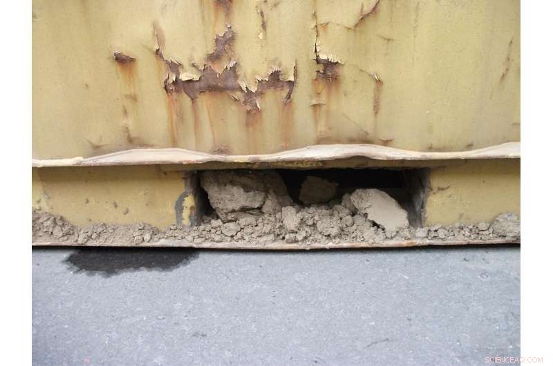 How Long Can Soil Invertebrates Survive? The Impact of Storage Duration and Environmental Exposure