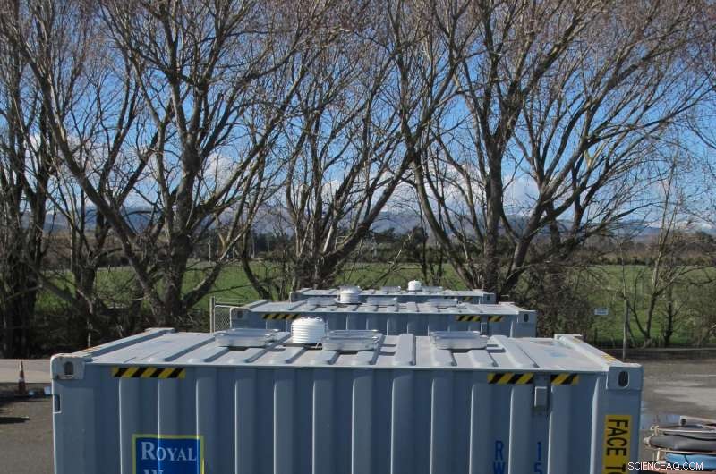 How Long Can Soil Invertebrates Survive? The Impact of Storage Duration and Environmental Exposure