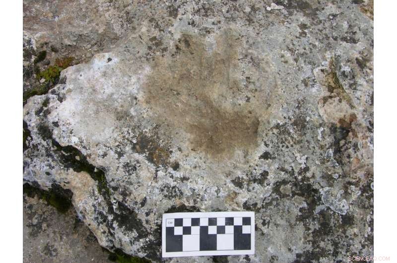 New Study Illuminates Ancient High-Altitude Settlement Patterns on the Tibetan Plateau