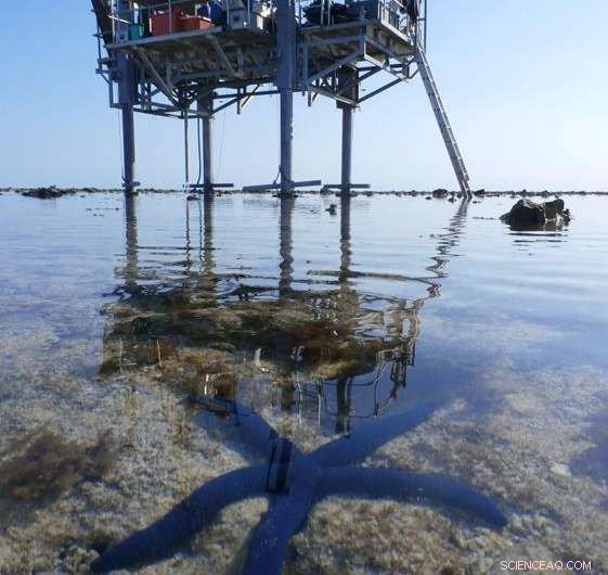Great Barrier Reef Once Nearly Drowned—Critical Climate Insights