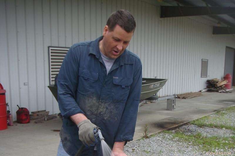 Deepwater Horizon Spill: Oyster Size Remains Unchanged, Study Finds