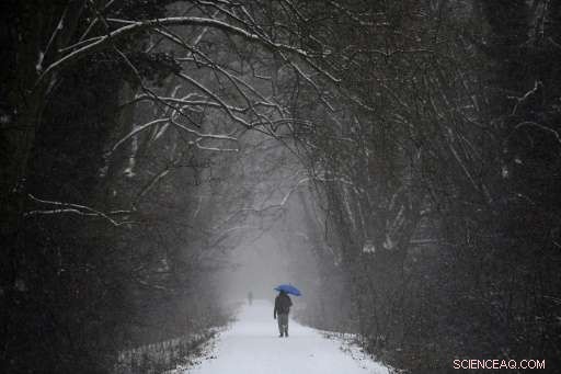 Europe Faces Deadly Cold Wave: New Fatalities Reported