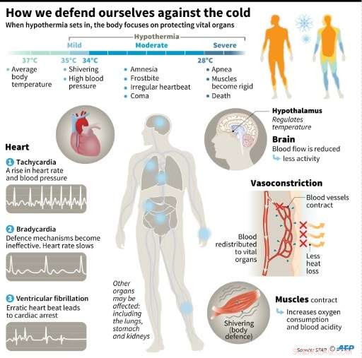 Europe Faces Deadly Cold Wave: New Fatalities Reported