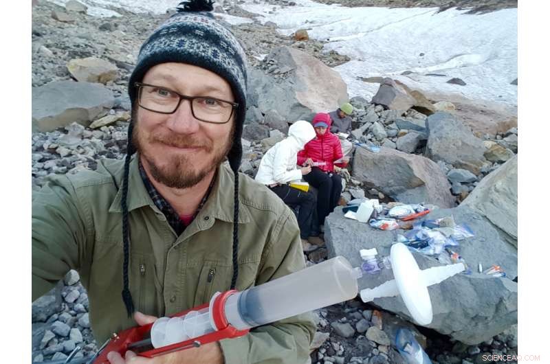 Algae Thrive in Cold Environments: How Low Temperatures Boost Their Growth