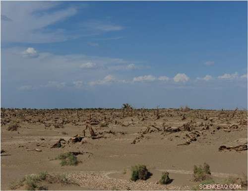 Human Groundwater Extraction Alters Climate Dynamics