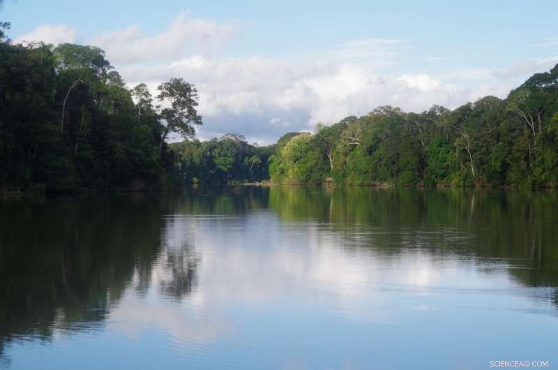 New Findings: Ancient Human Disturbances Could Skew Amazon Ecosystem Research