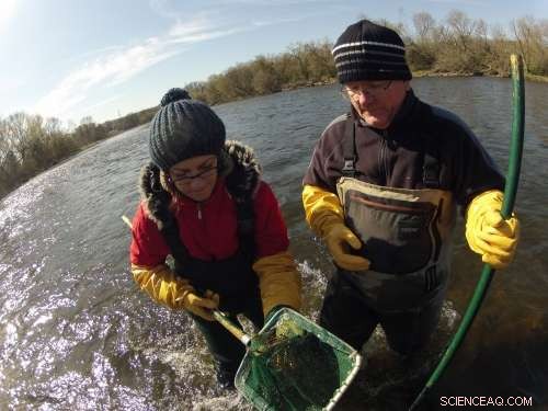 Grand River Wastewater Upgrade Cuts Intersex Fish by 70%