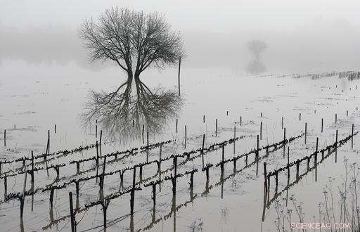 California Faces Flooding as Atmospheric Rivers Saturate the State
