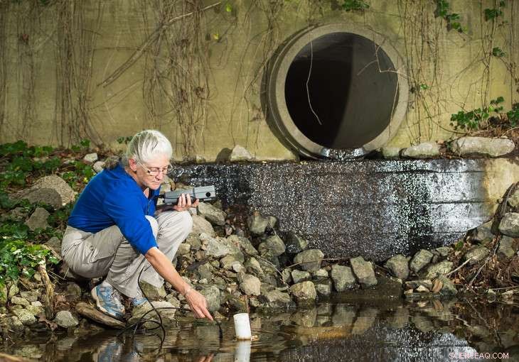 Road Salt Travels from Melting Snow into Streams and Groundwater