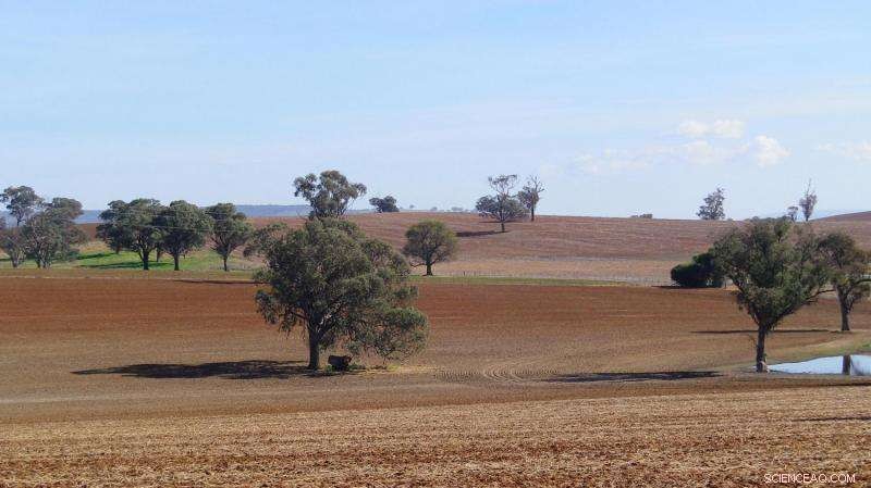 Predicting Soil Organic Matter Changes Amid Climate Shift