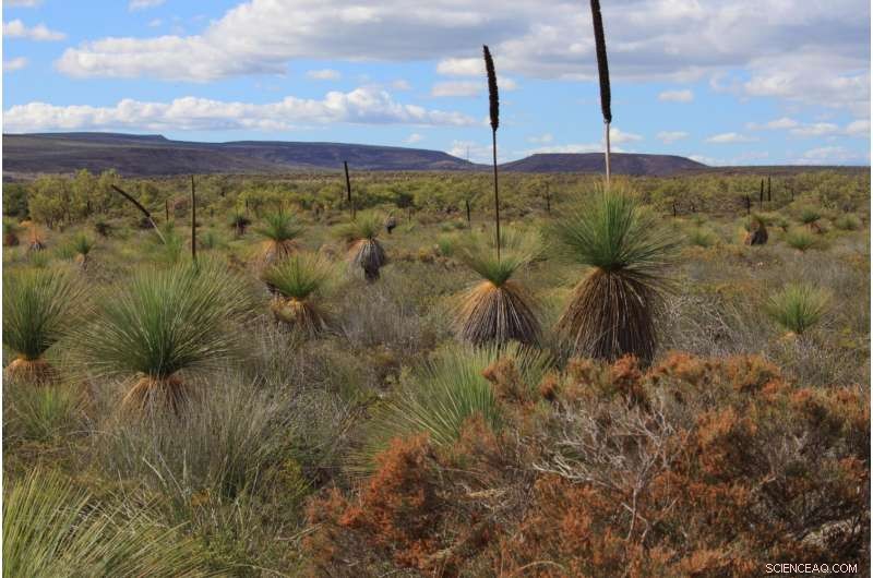 Microbes Drive Biodiversity in Tropical Rainforests