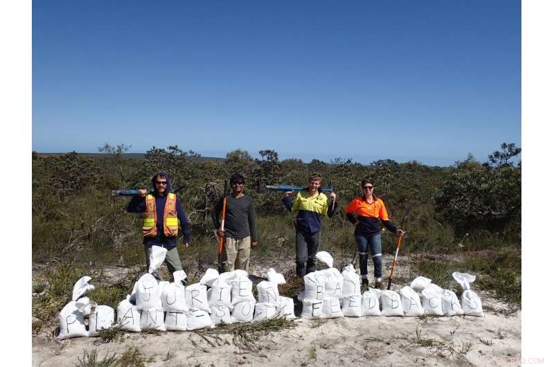 Microbes Drive Biodiversity in Tropical Rainforests