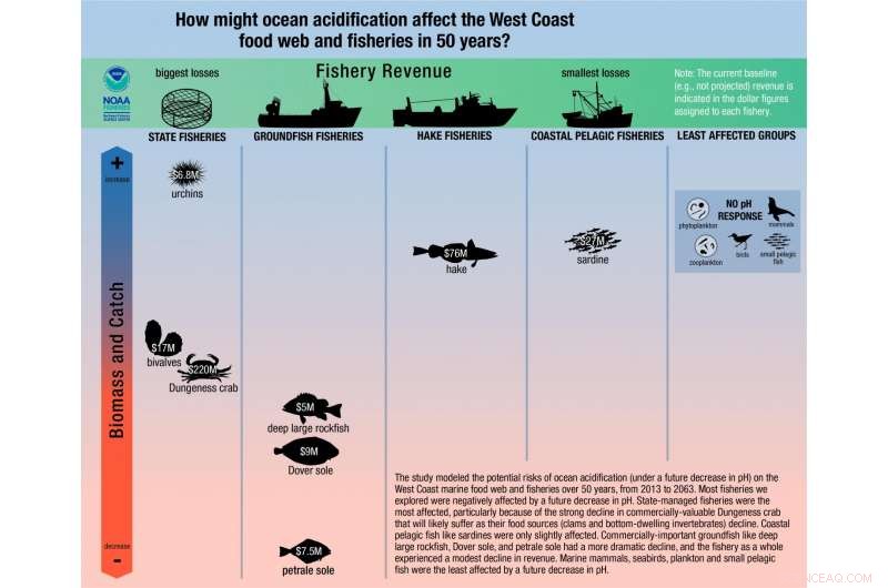 Ocean Acidification Threatens West Coast Dungeness Crab Fishery, New Assessment Reveals