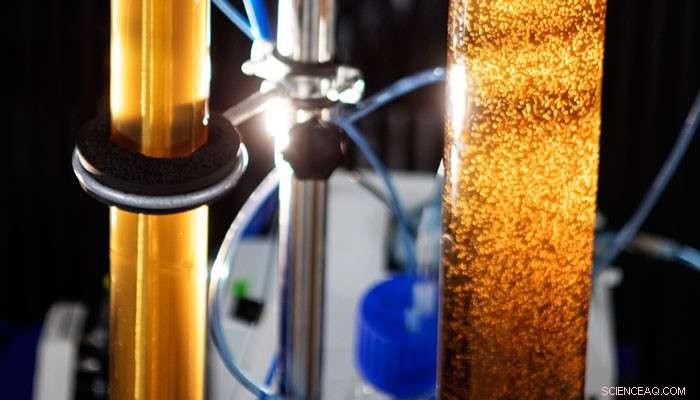 Revolutionary Energy‑Efficient Process Turns Wastewater Nutrients into High‑Quality Fertilizer