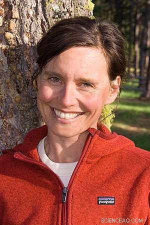 Soil Fungi Crucial for Tree Seedling Survival and Forest Diversity