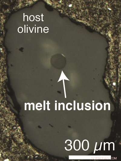 Revealing Uneven Carbon Distribution in the Deep Mantle