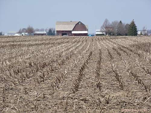 Adaptive Soil Conservation Management Key to Enhancing Water Quality, Study Finds
