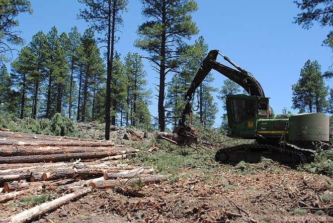 USDA s Proposed Forest Thinning May Undermine Climate Resilience and Pest Resistance