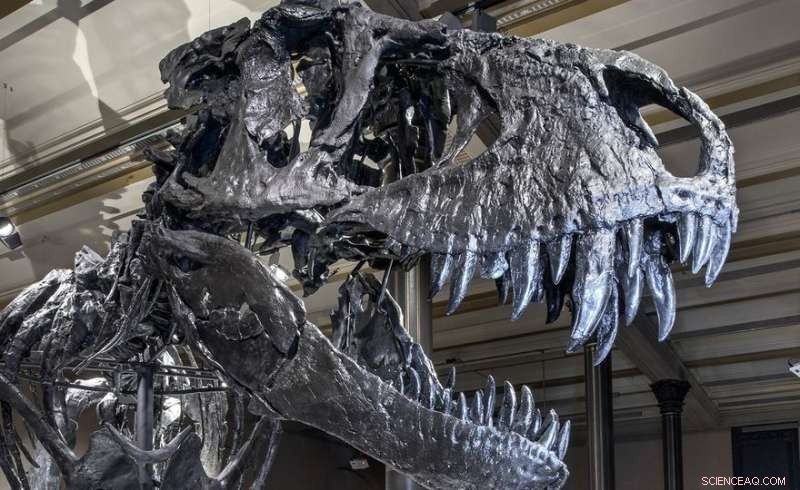 The Dark, Cold Forces That Ended the Dinosaurs