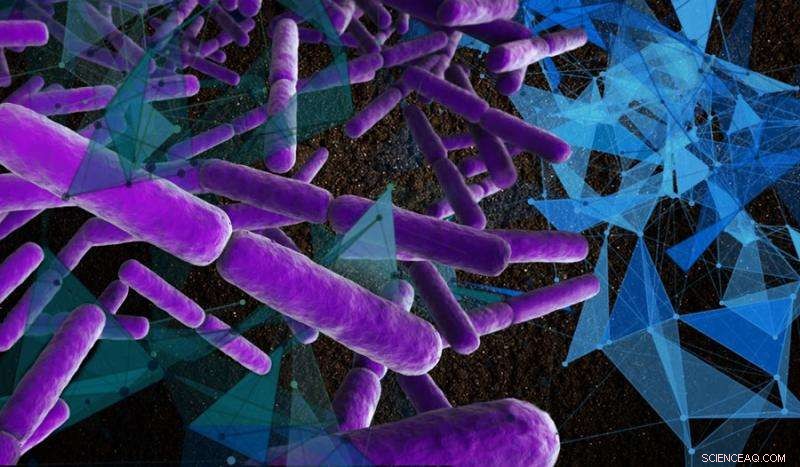 Microbes Unveil New Clues on Earth’s Geology and Carbon Cycling