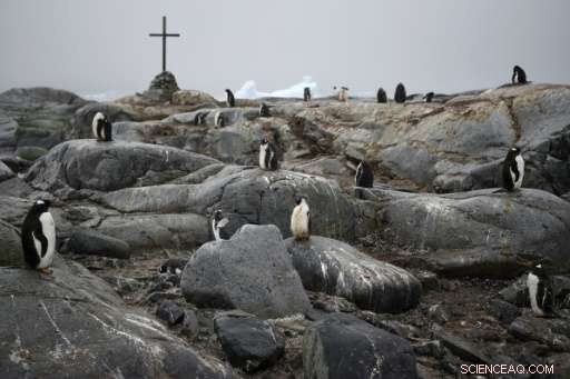 UK Antarctic Research Station Forced to Shut Down by Ice Cracks – Latest Update