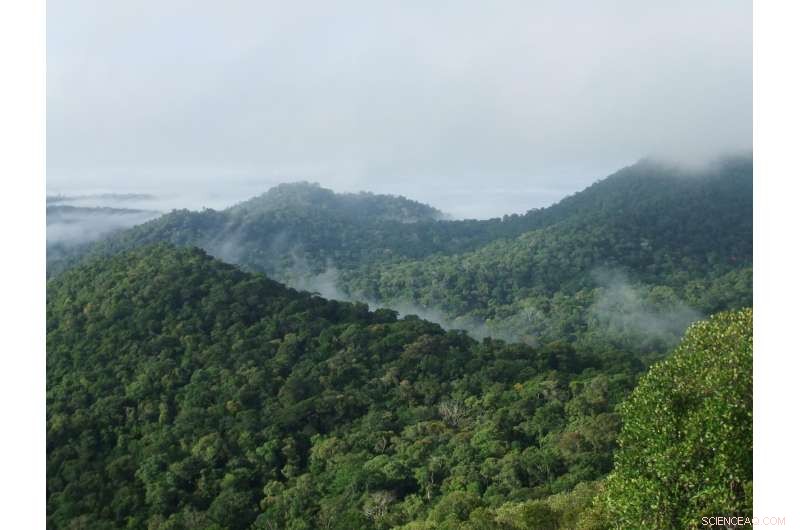 Beyond Carbon: Why Climate Policies Alone Cannot Protect Earth s Most Diverse Tropical Forests